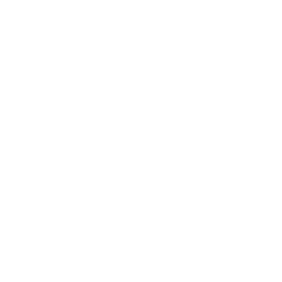 icon-4-econome